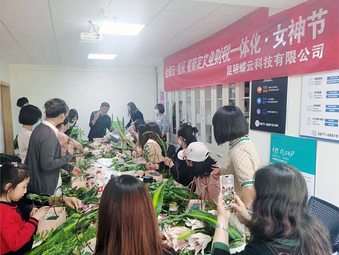 昆明蝶云科技有限公司